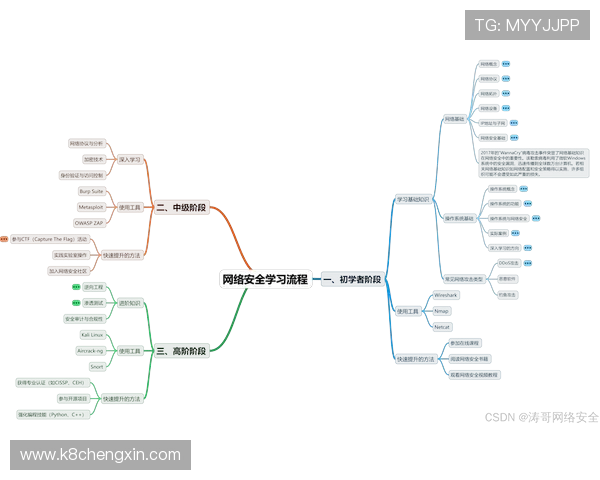 全面解析tg娱乐的安全保障措施确保玩家在平台上的资金与信息安全