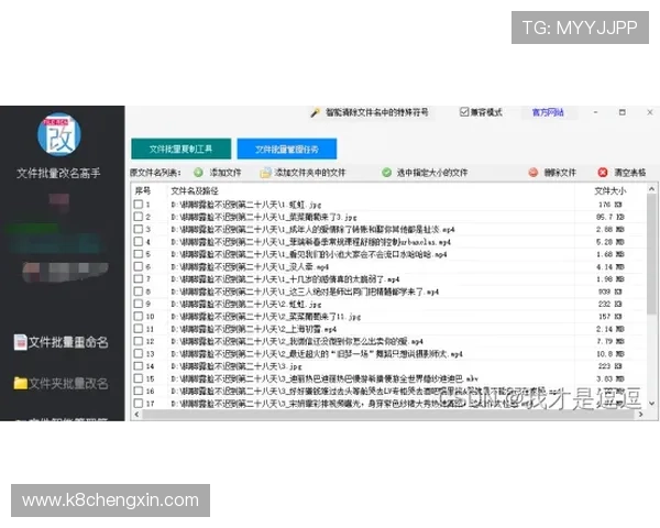 提升登录效率的实用技巧让你轻松应对AG视讯全站登录挑战