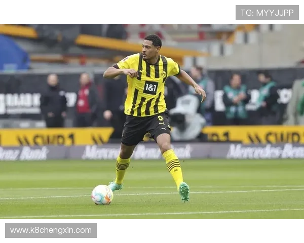 凯发K8世界杯下注用户体验分享真实用户的投注心得与成功案例